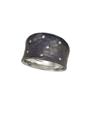 Toby-P, Tapered Vale Band